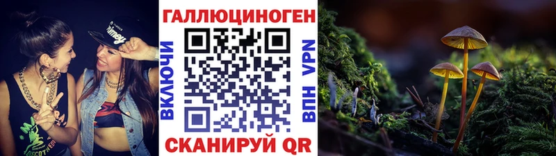 Галлюциногенные грибы GOLDEN TEACHER Купить где Амурск